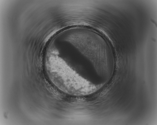 X0000100380975200806271330