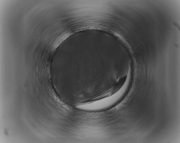 X0000100380977200806271330