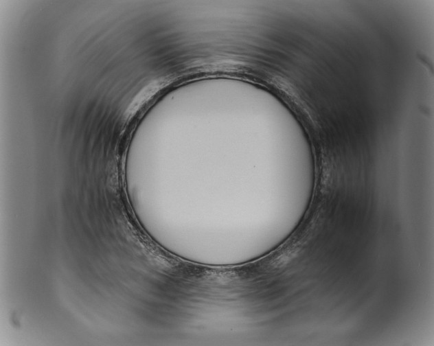 X0000100380978200806271330