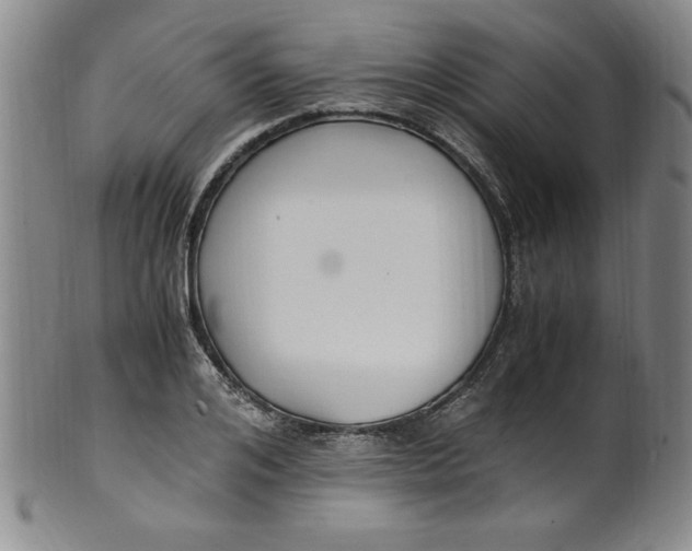 X0000100380984200806271330