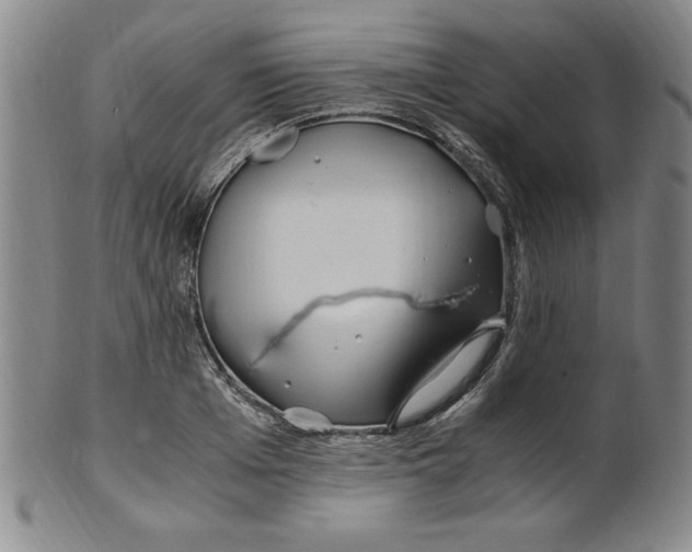 X0000100380985200806271330
