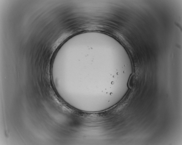 X0000100380986200806271330