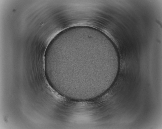 X0000100380988200806271330