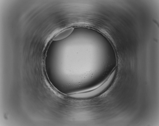 X0000100380989200806271330