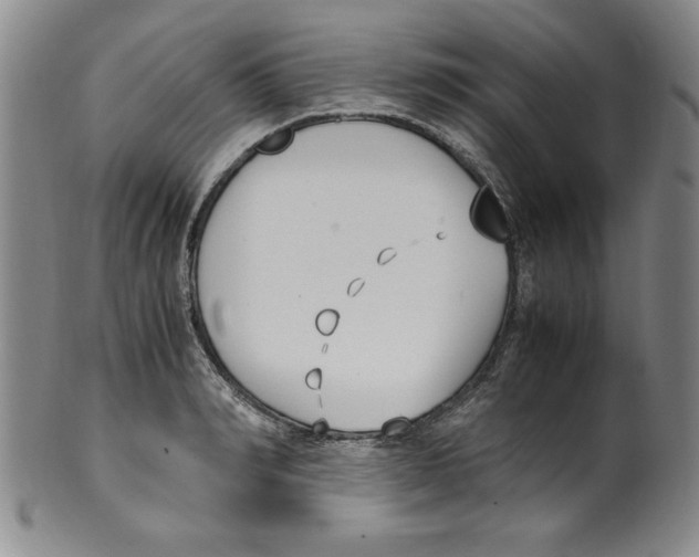 X0000100380990200806271330