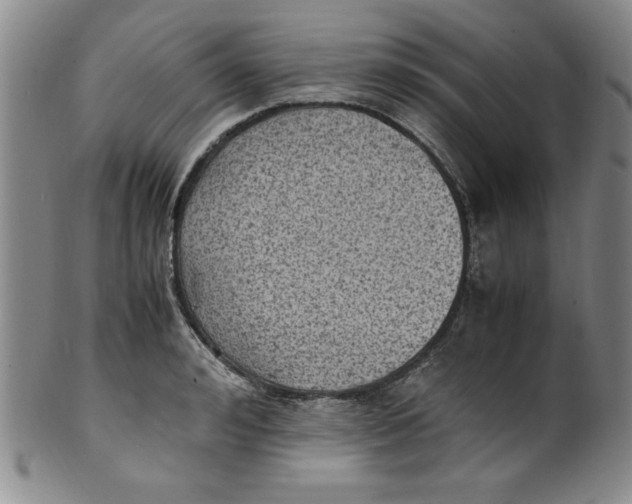 X0000100380992200806271330