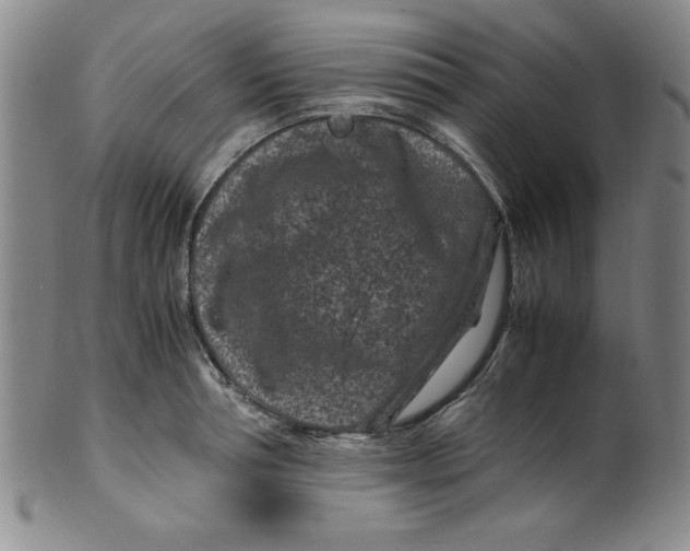 X0000100380994200806271330