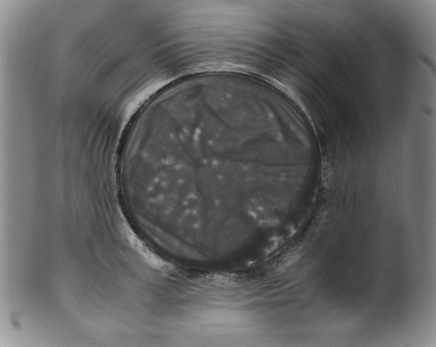X0000100380995200806271330