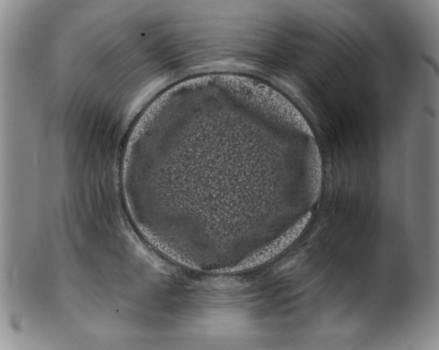 X0000100380998200806271330