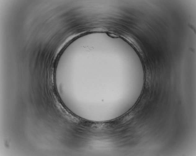 X0000100381000200806271330
