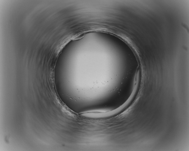 X0000100381001200806271330