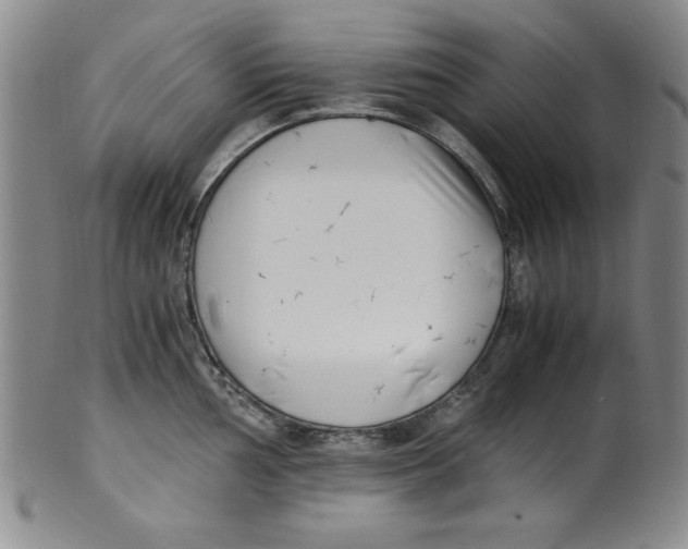 X0000100381002200806271330