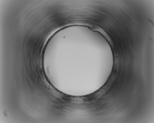 X0000100381004200806271330