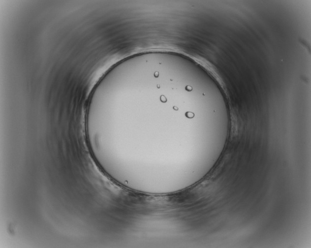 X0000100381006200806271330