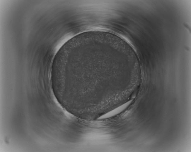 X0000100381007200806271330