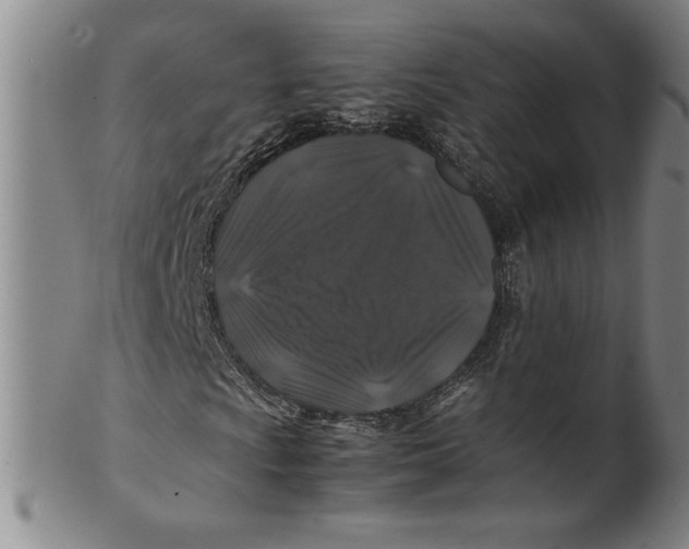 X0000100381009200806271329
