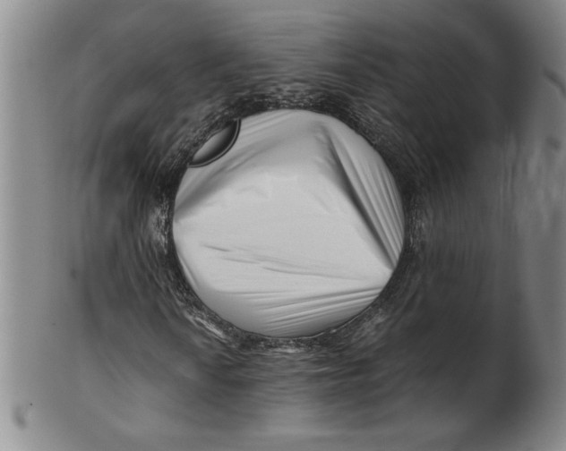 X0000100381010200806271329