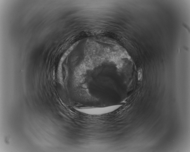X0000100381011200806271329
