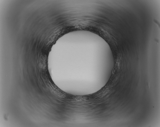 X0000100381012200806271329