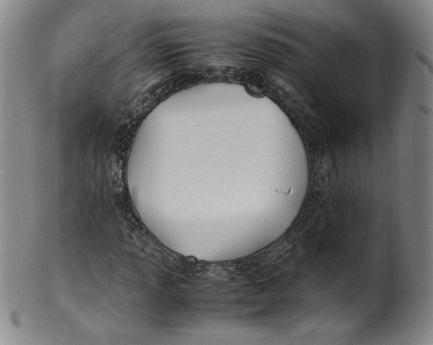 X0000100381013200806271329