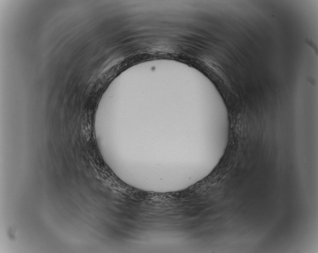 X0000100381015200806271329