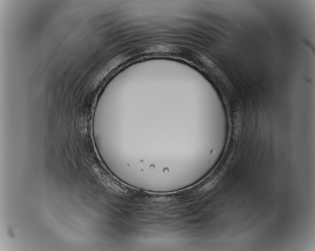 X0000100381017200806271329