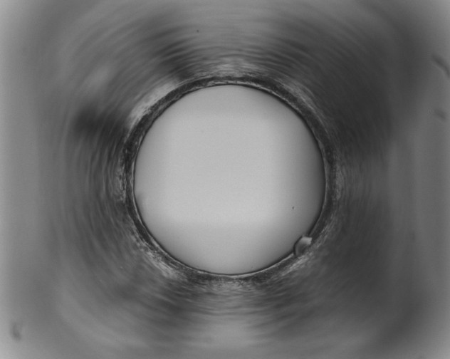 X0000100381018200806271329