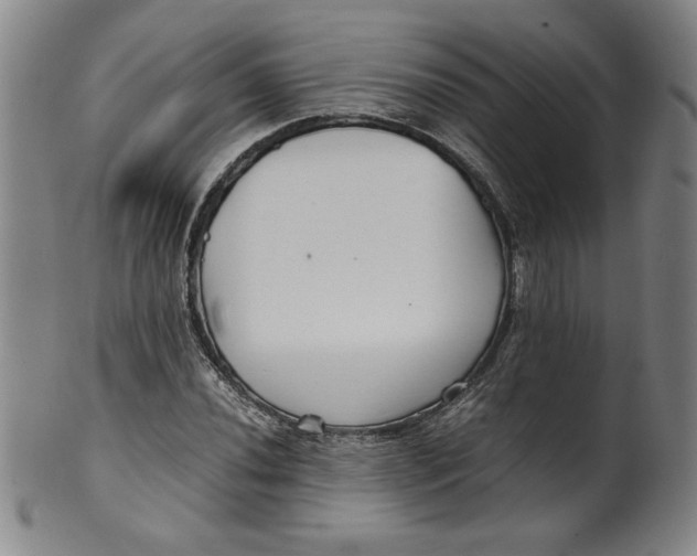 X0000100381020200806271329