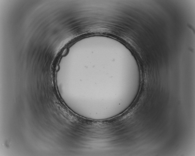 X0000100381022200806271329