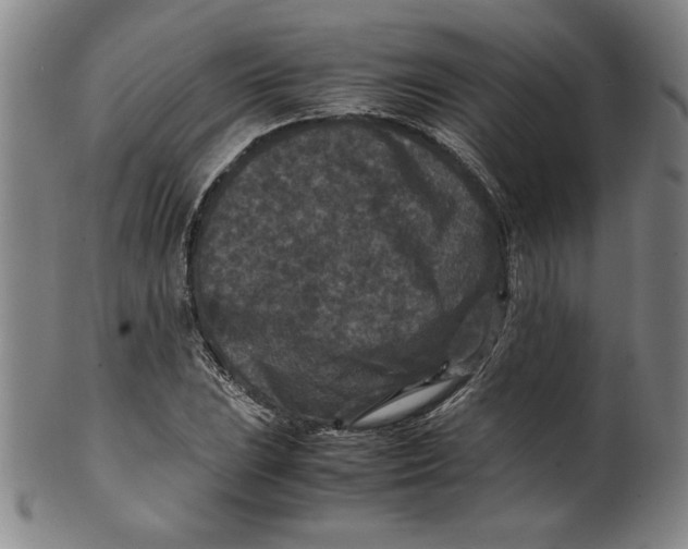 X0000100381023200806271329