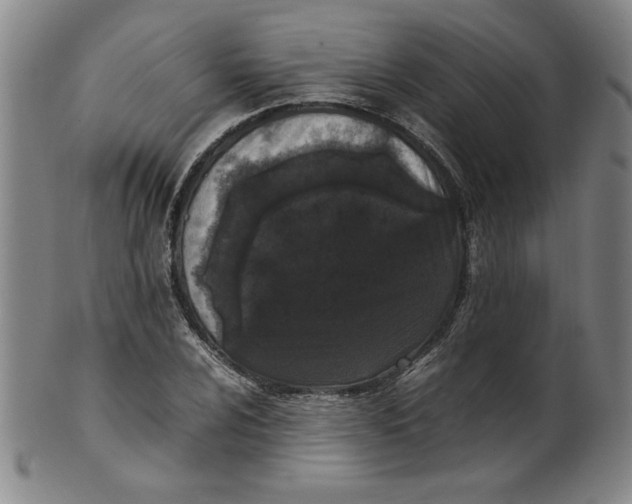 X0000100381024200806271329
