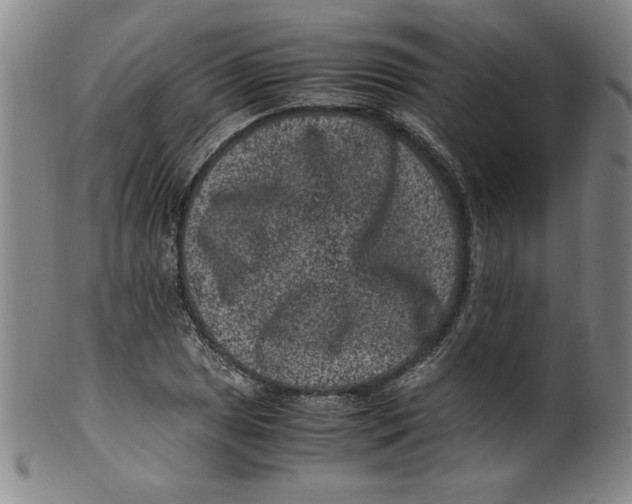 X0000100381025200806271329