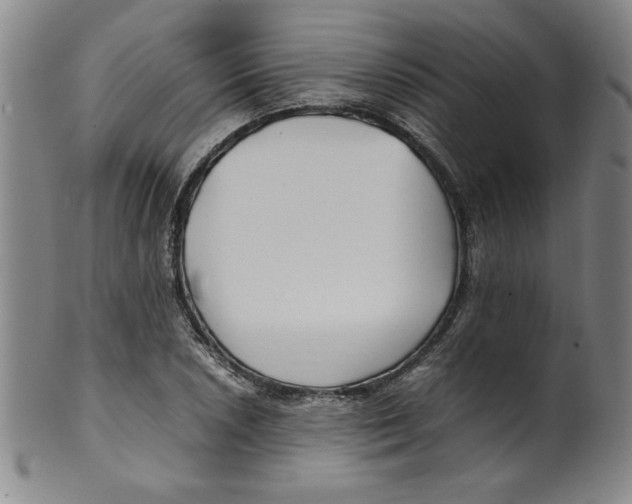 X0000100381026200806271329