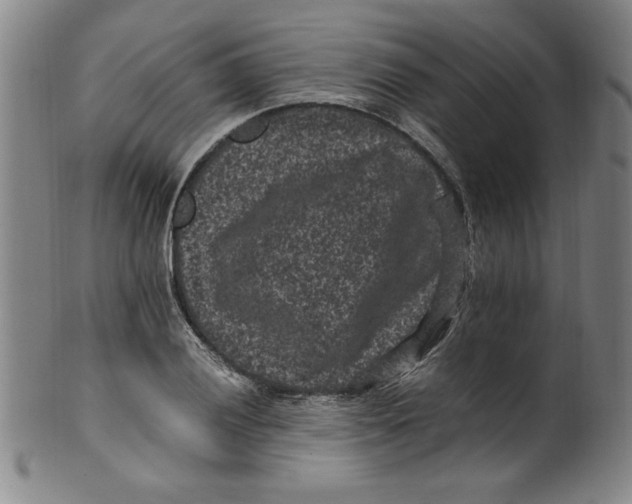 X0000100381028200806271329