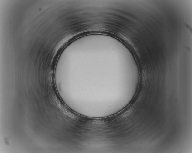 X0000100381029200806271329