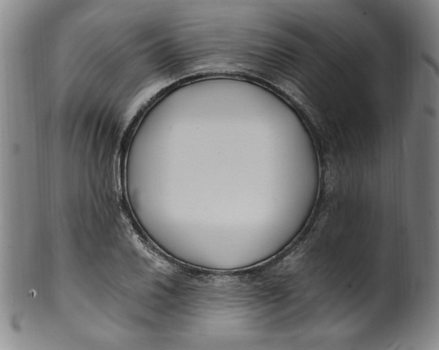 X0000100381030200806271329