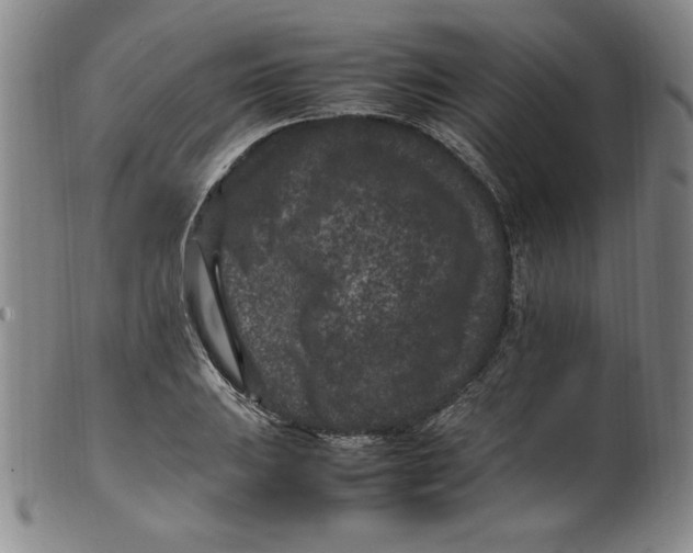 X0000100381031200806271329