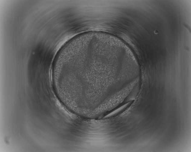 X0000100381032200806271329