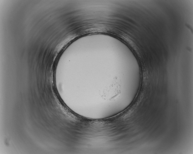 X0000100381034200806271329