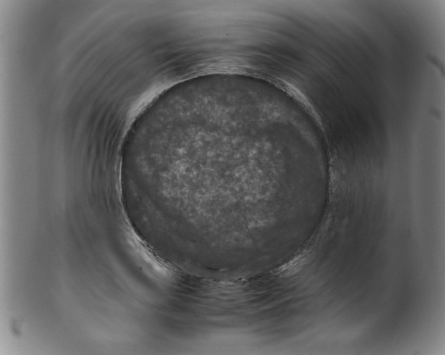 X0000100381035200806271329