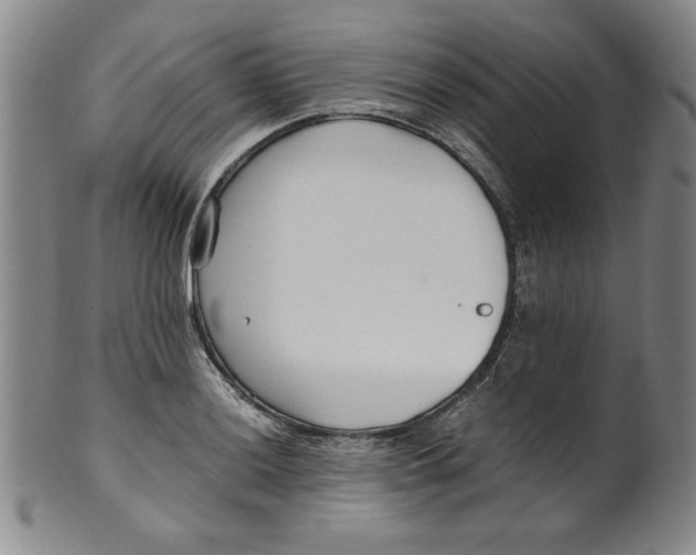 X0000100381036200806271329