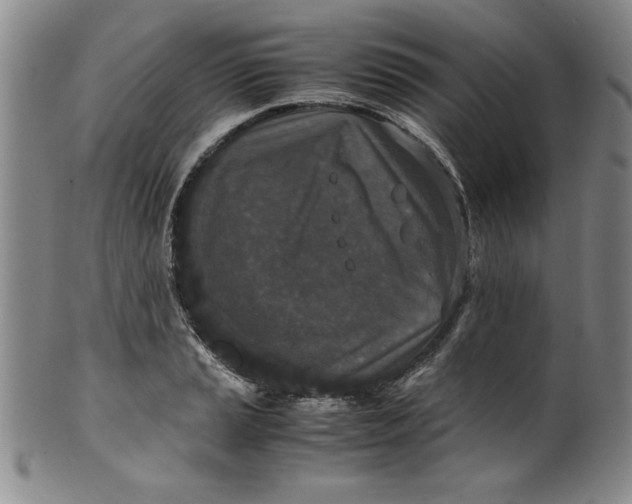 X0000100381037200806271329