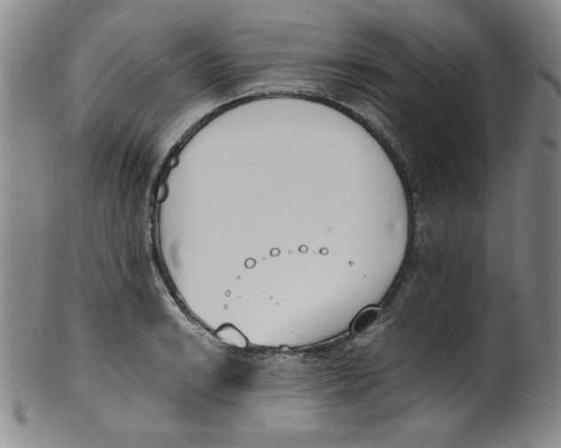 X0000100381038200806271329