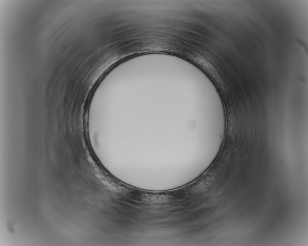 X0000100381039200806271329