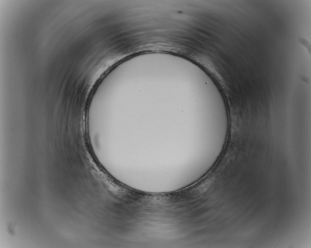 X0000100381040200806271329