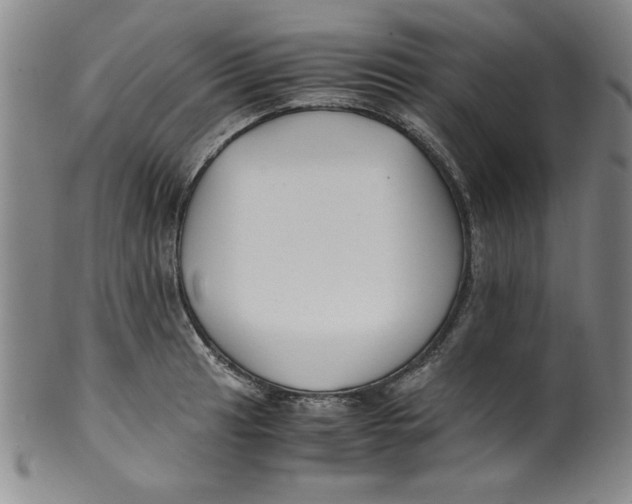 X0000100381041200806271329