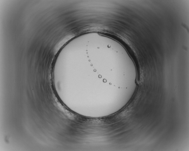 X0000100381042200806271329