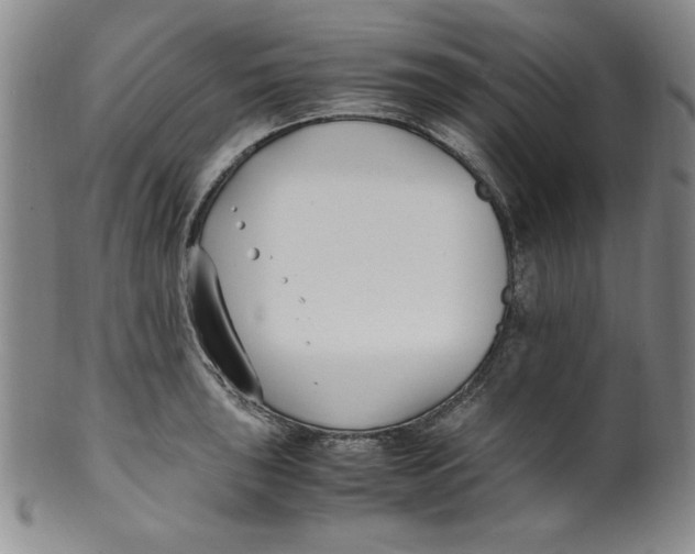 X0000100381043200806271329