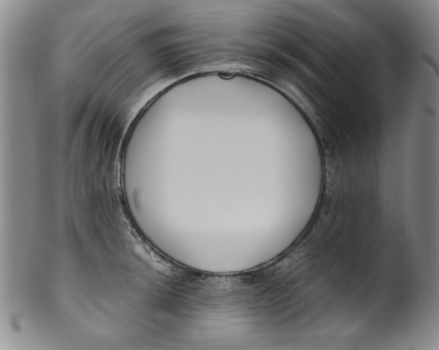 X0000100381044200806271329