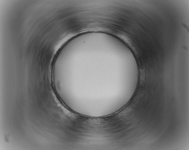 X0000100381046200806271329